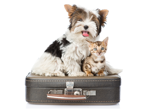 不調の早期発見