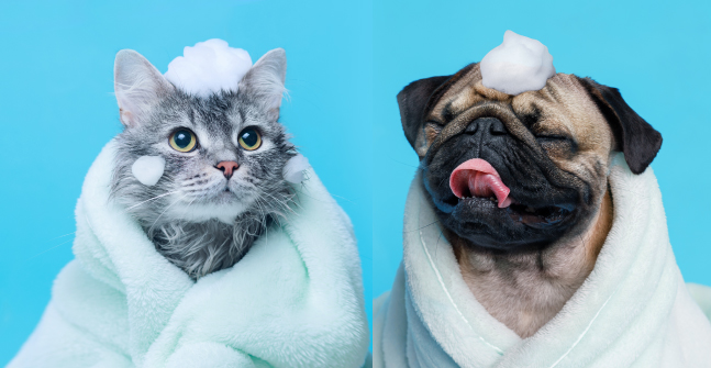 仔犬やお肌の敏感なワンちゃんも安心