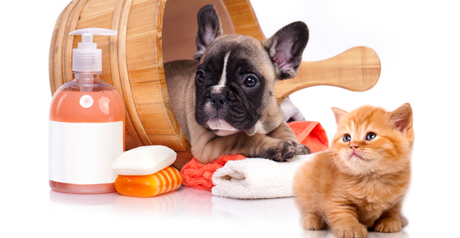 リラックスできる隠れ家サロン